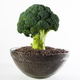 Image for article titled I've Been Quietly Wishing for the Downfall of Daily Harvest